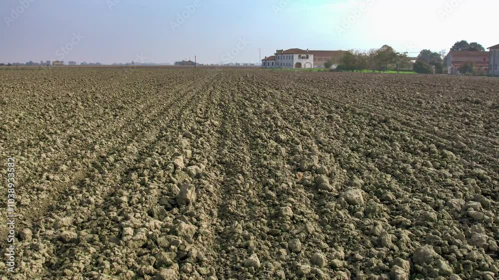 Soybean threshing machine working on field Soybean threshing machine working on field