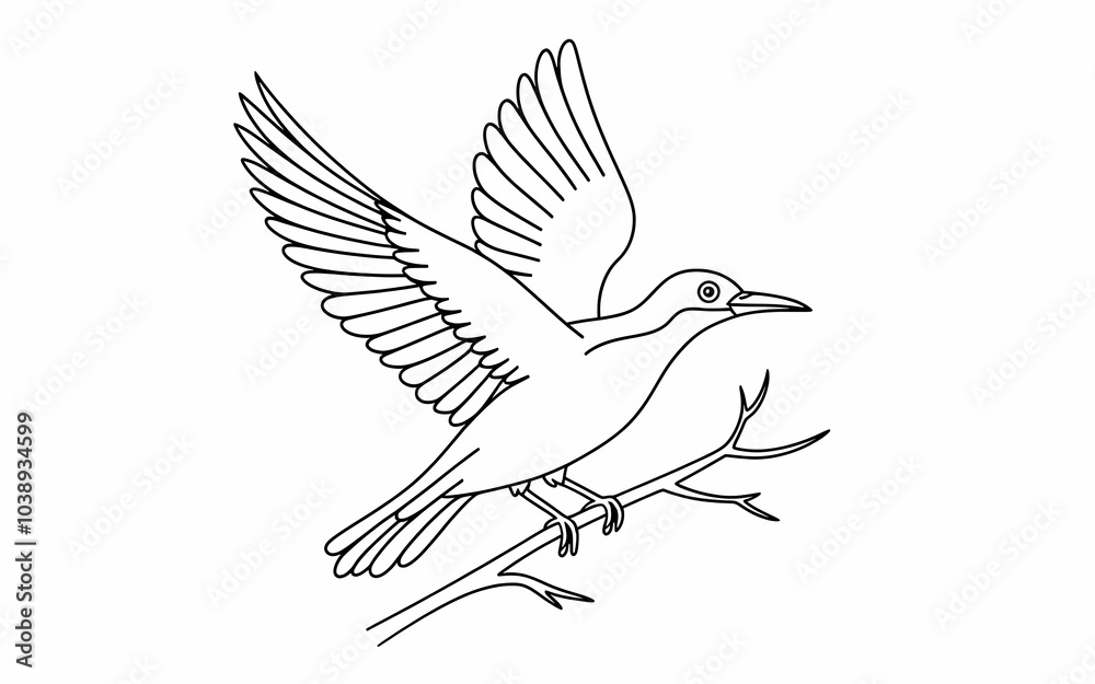 Fototapeta premium Birds coloring page illustration design and coloring book design black and white background illustration concept 