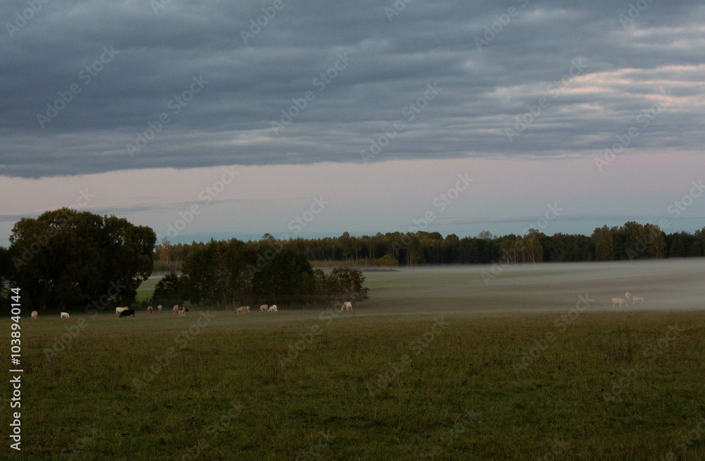 Fototapeta premium Latvian Landscape in autumn