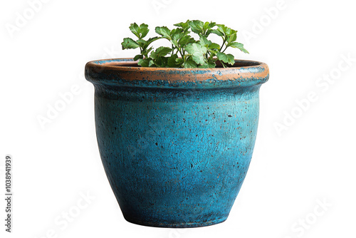 Blue and brown terracotta pot isolated on transparent background, png file, no background png file