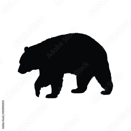 silhouette of bear