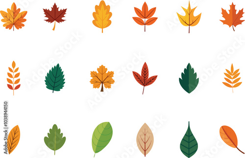 collection of autumn leaves vector set