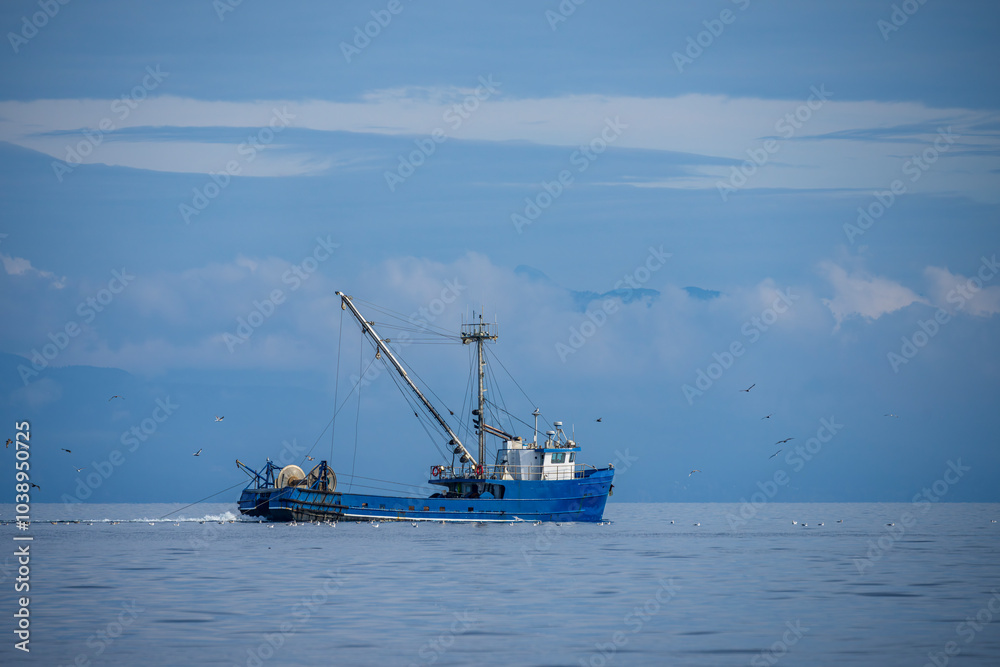 Trawling for Hake, Salish Sea Trawling for Hake, Salish Sea