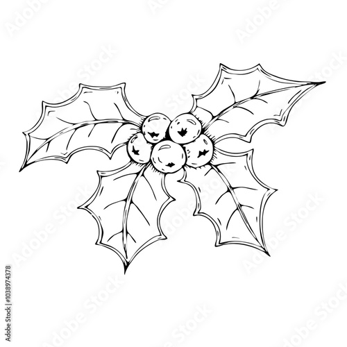 Holly berry Christmas hand drawn illustration. Element for design. Vector illustration. Design elements for greeting card or invitation. Black outlines, white background