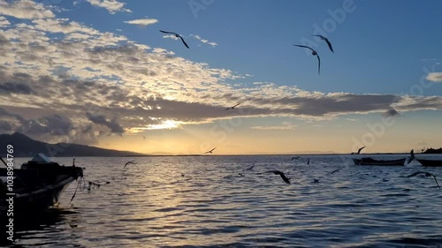 Seagulls flying on the sea. Cloudy sunset on a sea