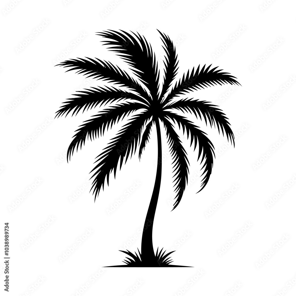 Fototapeta premium a single palm tree silhouette vector