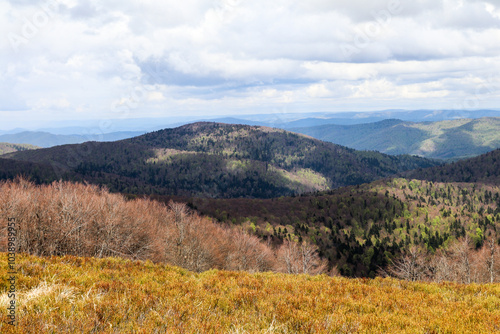 Fototapeta Naklejka Na Ścianę i Meble -  A walk in the Bieszczady National Park - Poland.