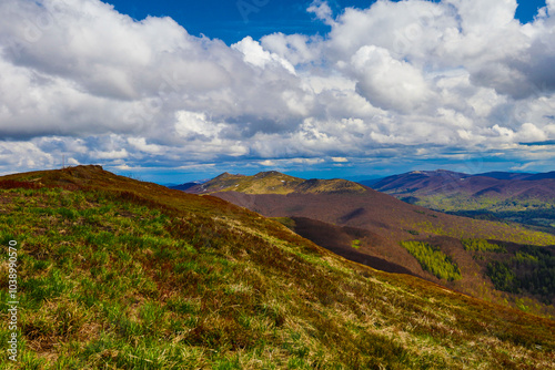 Fototapeta Naklejka Na Ścianę i Meble -  A walk in the Bieszczady National Park - Poland.