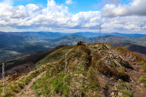 Fototapeta Naklejka Na Ścianę i Meble -  A walk in the Bieszczady National Park - Poland.