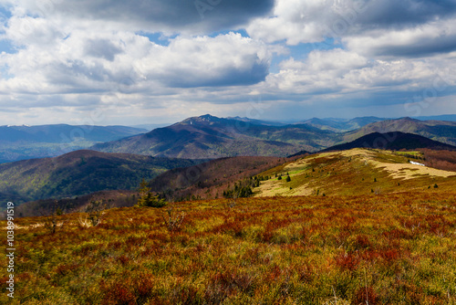 Fototapeta Naklejka Na Ścianę i Meble -  A walk in the Bieszczady National Park - Poland.