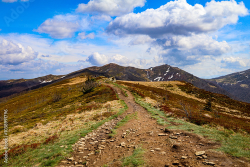 Fototapeta Naklejka Na Ścianę i Meble -  A walk in the Bieszczady National Park - Poland.