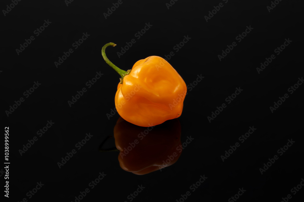 Fototapeta premium Papryczka habanero