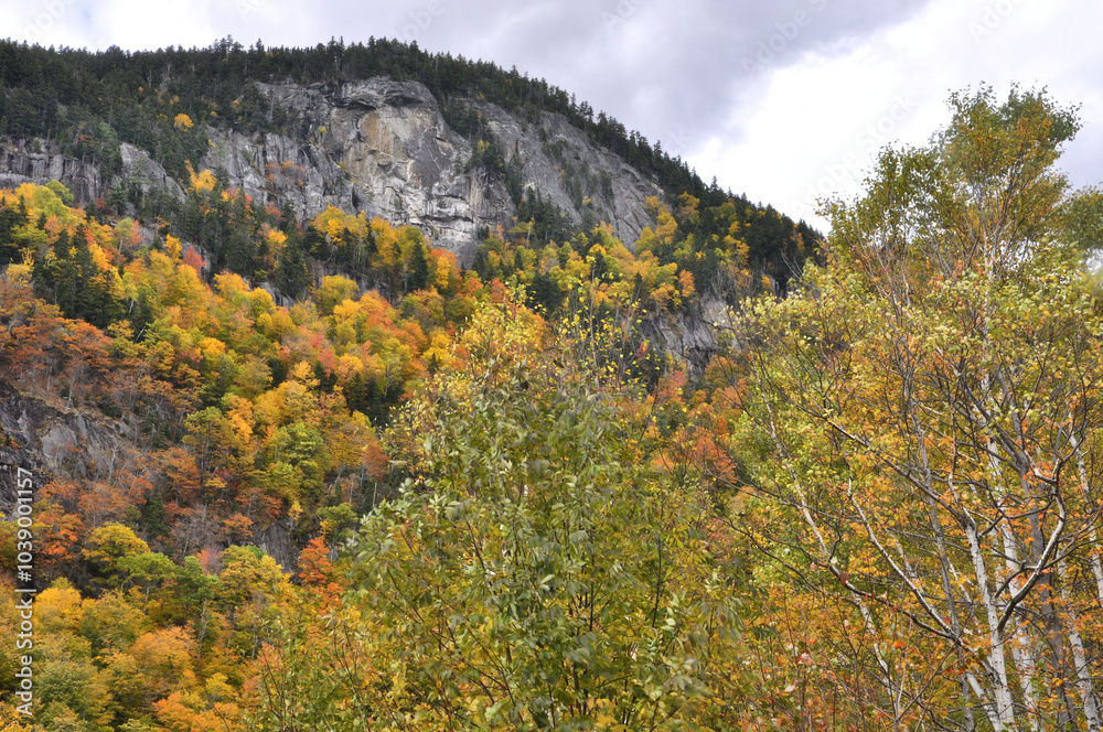 Scenic view from overlook along Highway 113 near top of Evans Notch in western Maine. Vibrant fall foliage and steep cliff face of East Royce Mountain in the White Mountain National Forest. Scenic view from overlook along Highway 113 near top of Evans Notch in western Maine. Vibrant fall foliage and steep cliff face of East Royce Mountain in the White Mountain National Forest.