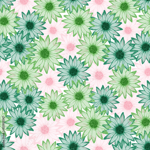 Chrysanthemum rustic vector endless rapport. Camomile daisy blossom with tran...