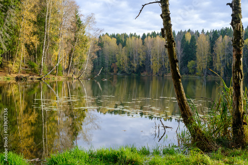 lake and autumn forest on a sunny day