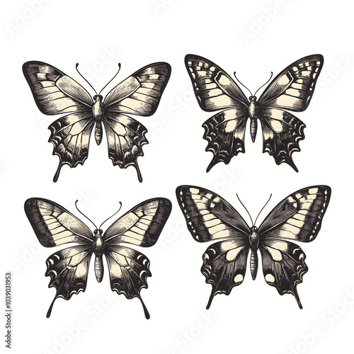 Butterfly illustration set. Beautiful tropical moths isolated on white background. Flying cute insects with colorful wings