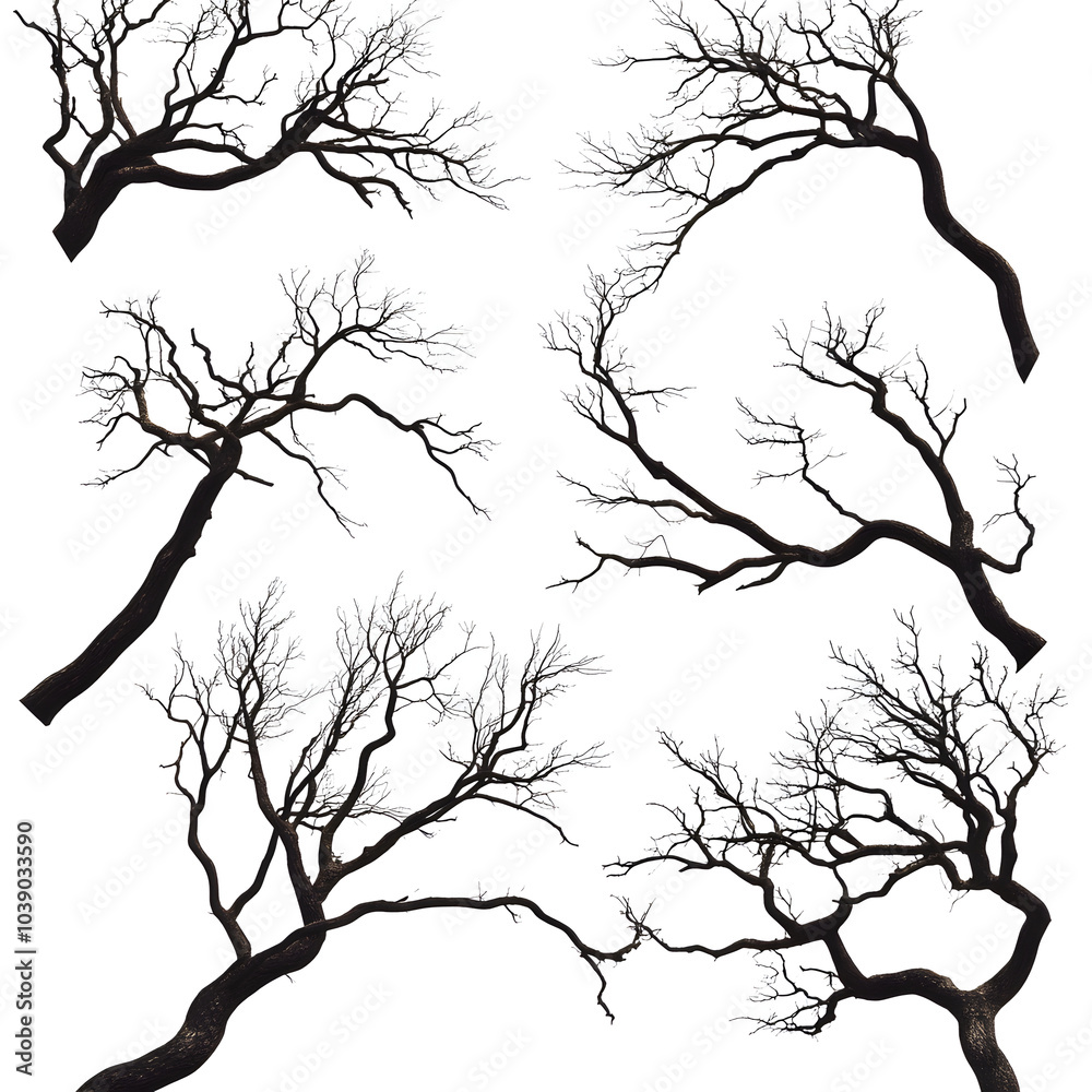 Obraz premium tree branches set 