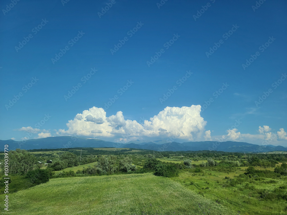 Scenic Landscape with Field and Mountains Scenic Landscape with Field and Mountains