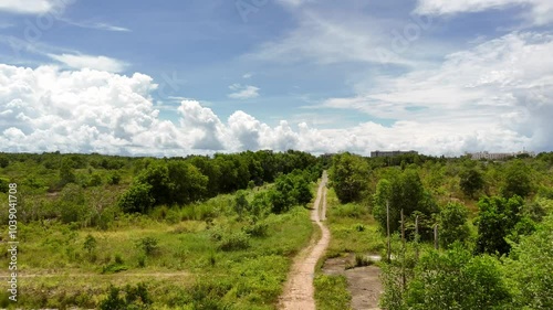Landscape with trees. Asia Fly 4k60. Vietnam. beauty island