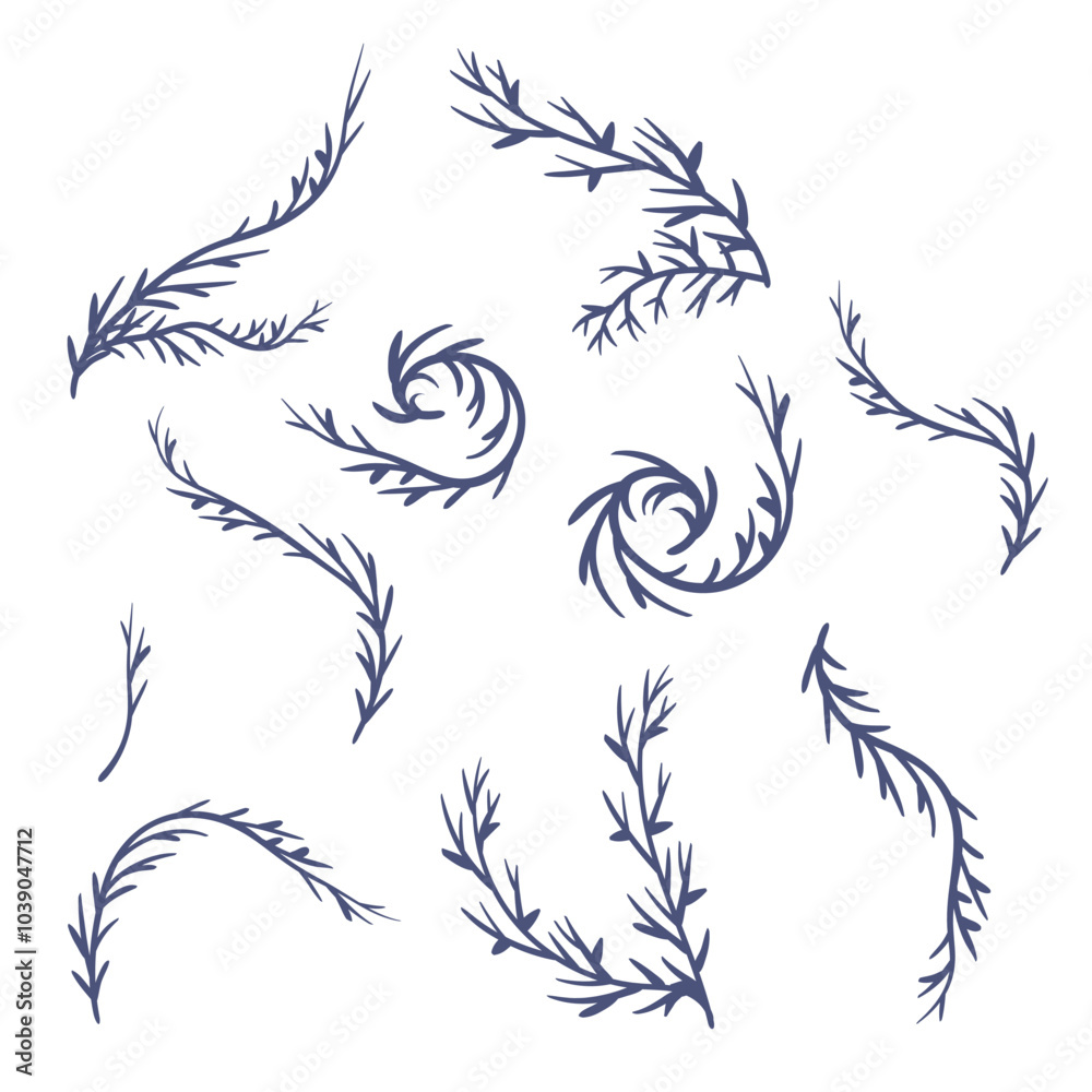 Obraz premium Algae. Set. Marine icon. Hand-drawn vector illustration.