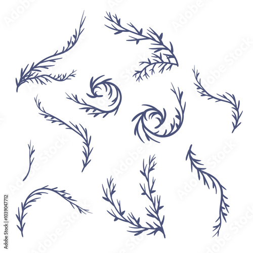 Algae. Set. Marine icon. Hand-drawn vector illustration.