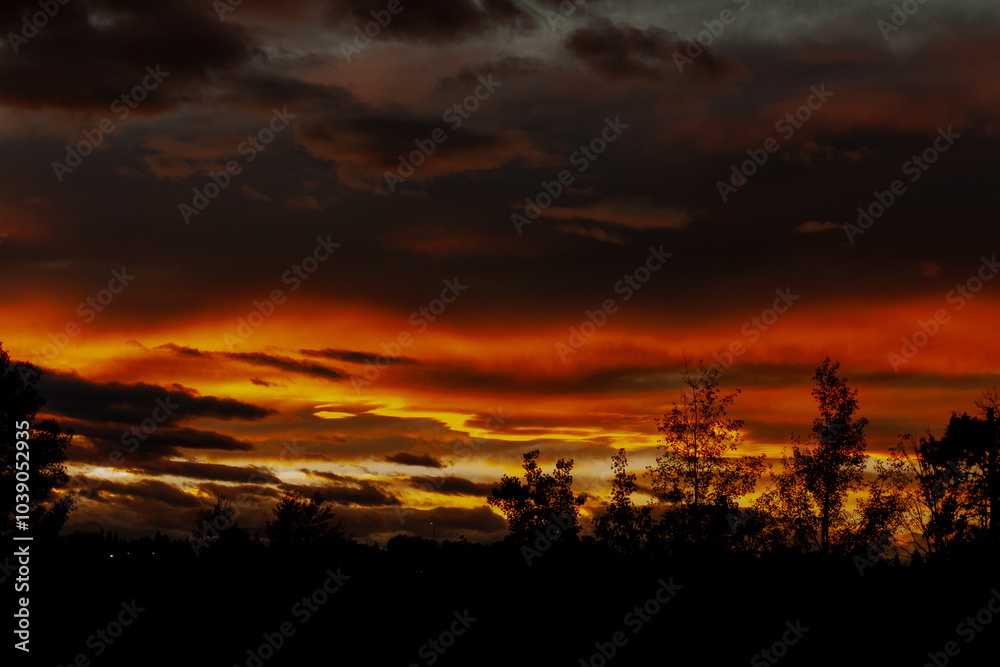 Burning Sky in Calgary. The sky is on fire Burning Sky in Calgary. The sky is on fire