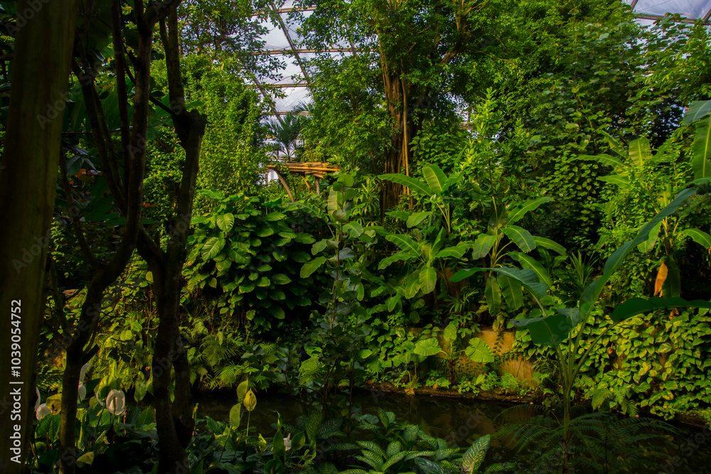 Fototapeta premium Tropical forest exhibit at Leipzig Zoo