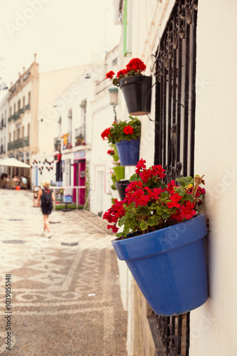 Flowers in patterned ceramic vases fixed to the wall of an old house. Decor of the old town of Nerja in Spain photo