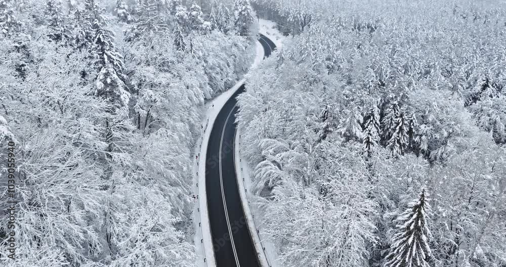 Winter road and white frozen forest with rime and snow.