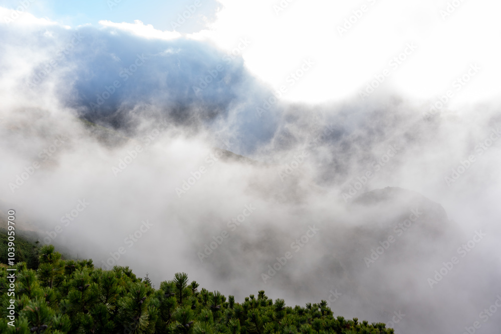 Obraz premium Foggy mountain landscape with mist floating over pine trees on serene morning, creating mysterious atmosphere. Peaceful outdoor adventures, nature photography, and exploration of untouched wilderness