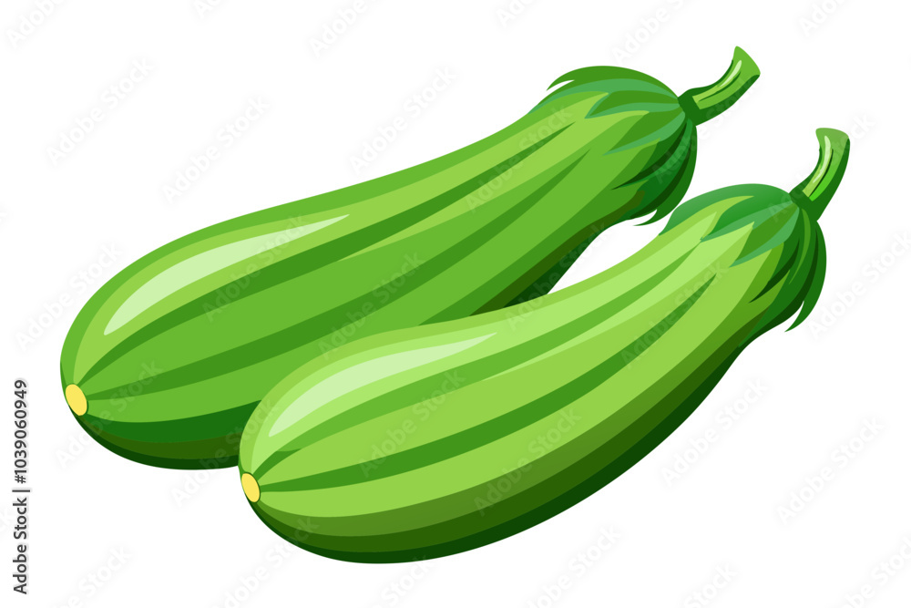 Two green squash on vector art illustration Two green squash on vector art illustration