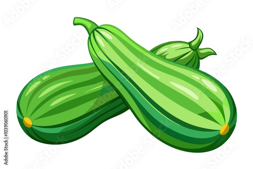 Two green squash on vector art illustration 