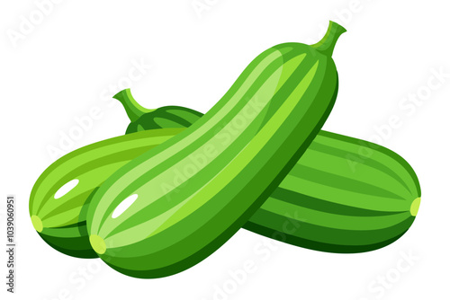 Two green squash on vector art illustration 