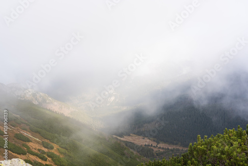 Wallpaper Mural Foggy mountain landscape with pine-covered slopes and a peaceful forest below. Concept of natural serenity, outdoor adventure, and calm mountain atmosphere. High quality photo Torontodigital.ca