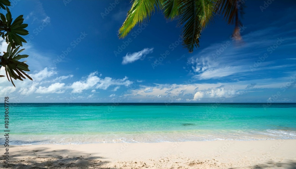 beach with palm trees beach with palm trees