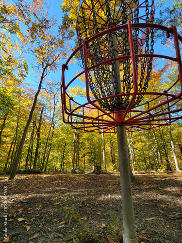 Autumn Disc golf at Royalton Ravine Disc Golf Course photo