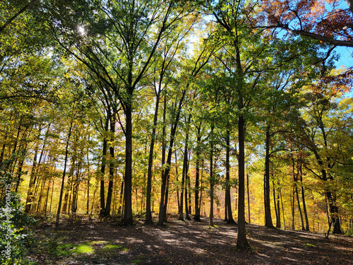 Autumn Disc golf at Royalton Ravine Disc Golf Course photo