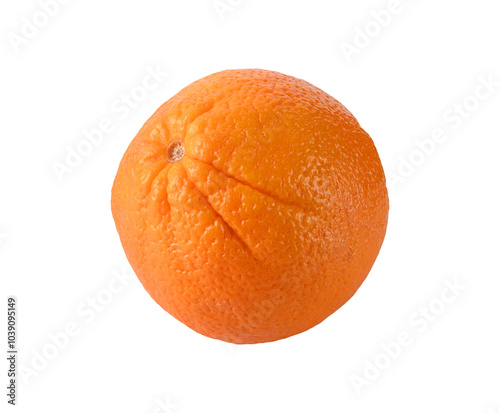   Valencia Navel Oranges  on  transparent png