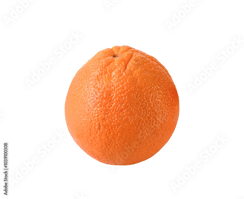   Valencia Navel Oranges  on  transparent png