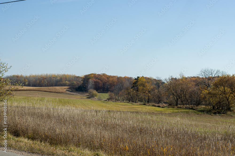 autumn landscape with trees autumn landscape with trees