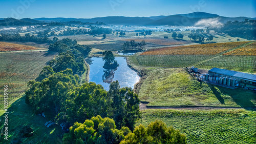 Aerial over Yarra Valley vineyard with a dam and fog in the distance photo