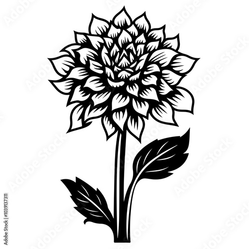 Dahlia Flower