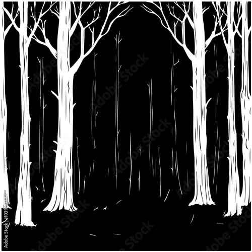 Dark Forest At Night