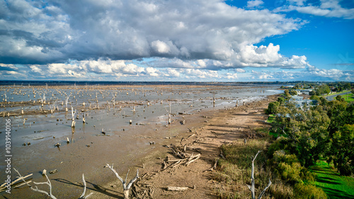 Scenic beauty of Lake Mulwala with dead trees lining the shore photo