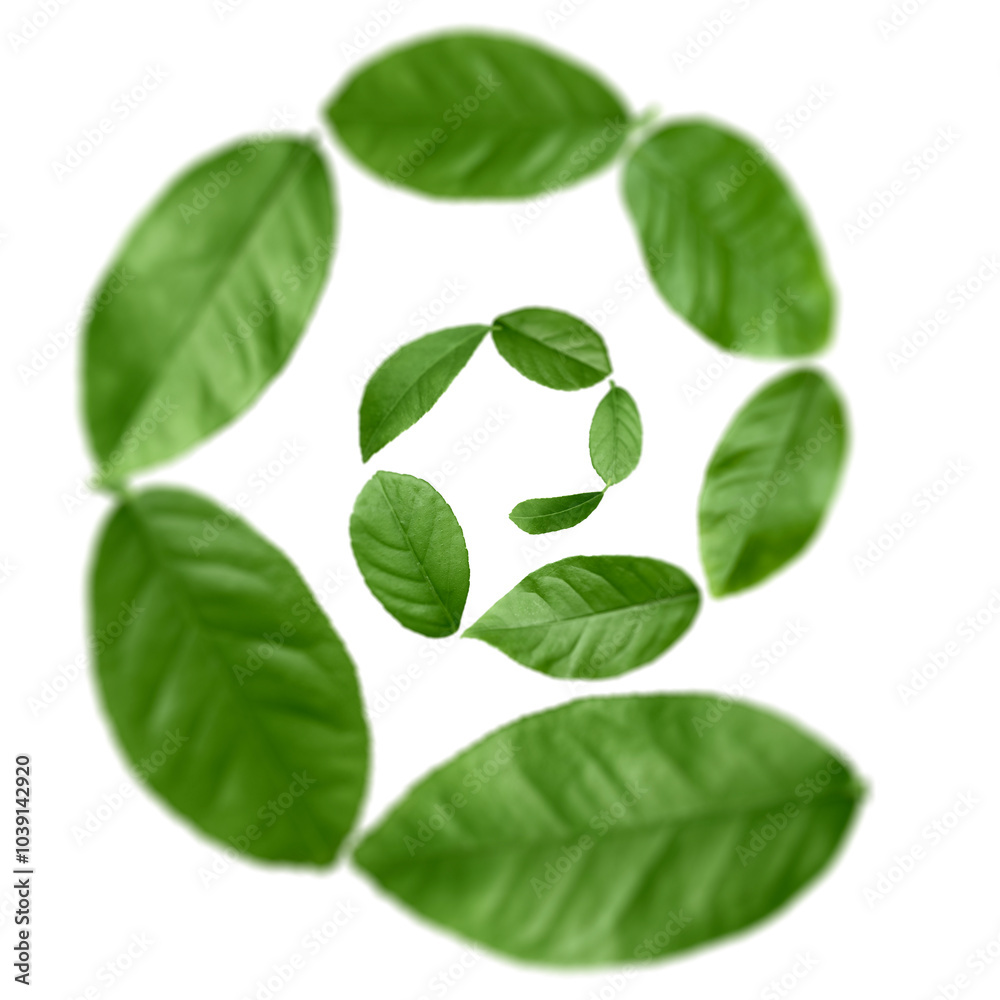 Fototapeta premium Green leaves swirling in air on white background