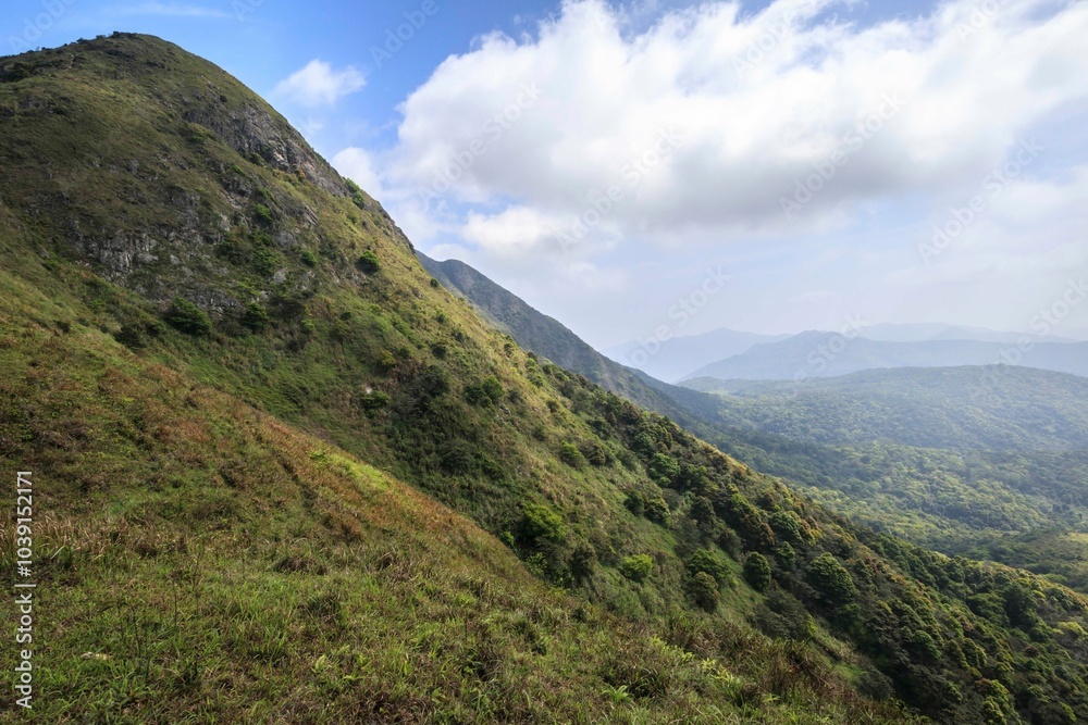 Lush Green Forested Hills Under a Bright Sky Lush Green Forested Hills Under a Bright Sky