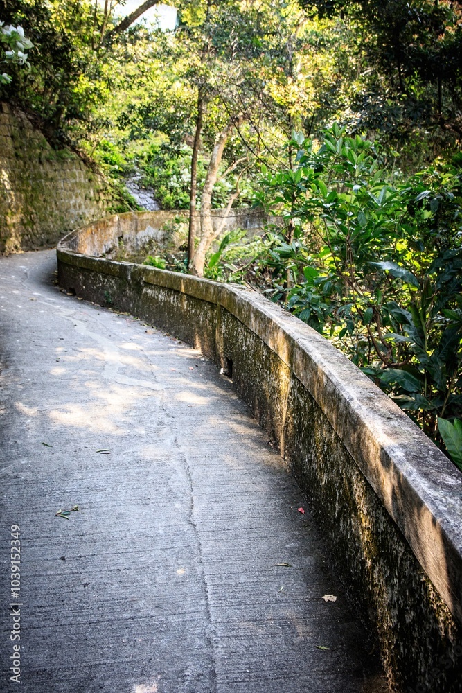 Fototapeta premium Serene Pathway Through Lush Green Forest Trail