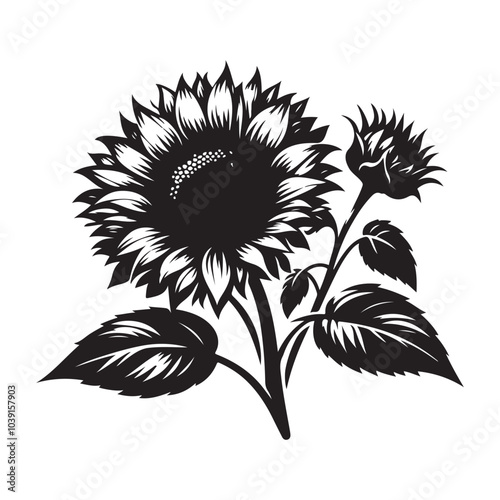 sunflower vector silhouette