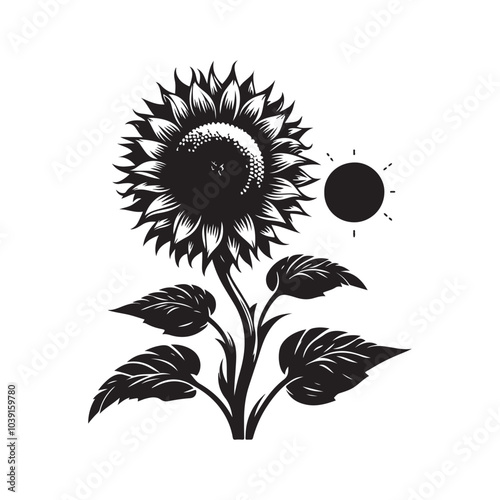 sunflower vector silhouette