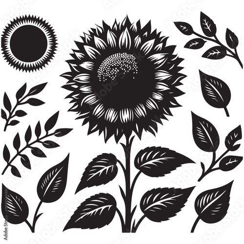 sunflower vector silhouette